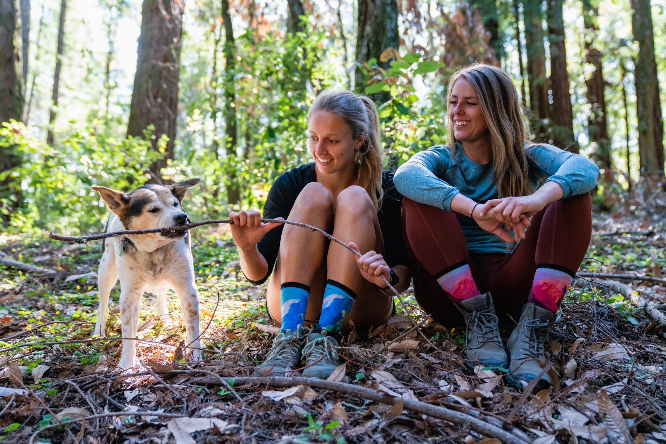 Redwood Forest with Caitlyn, Hektor, and Kat in Santa Cruz, CA