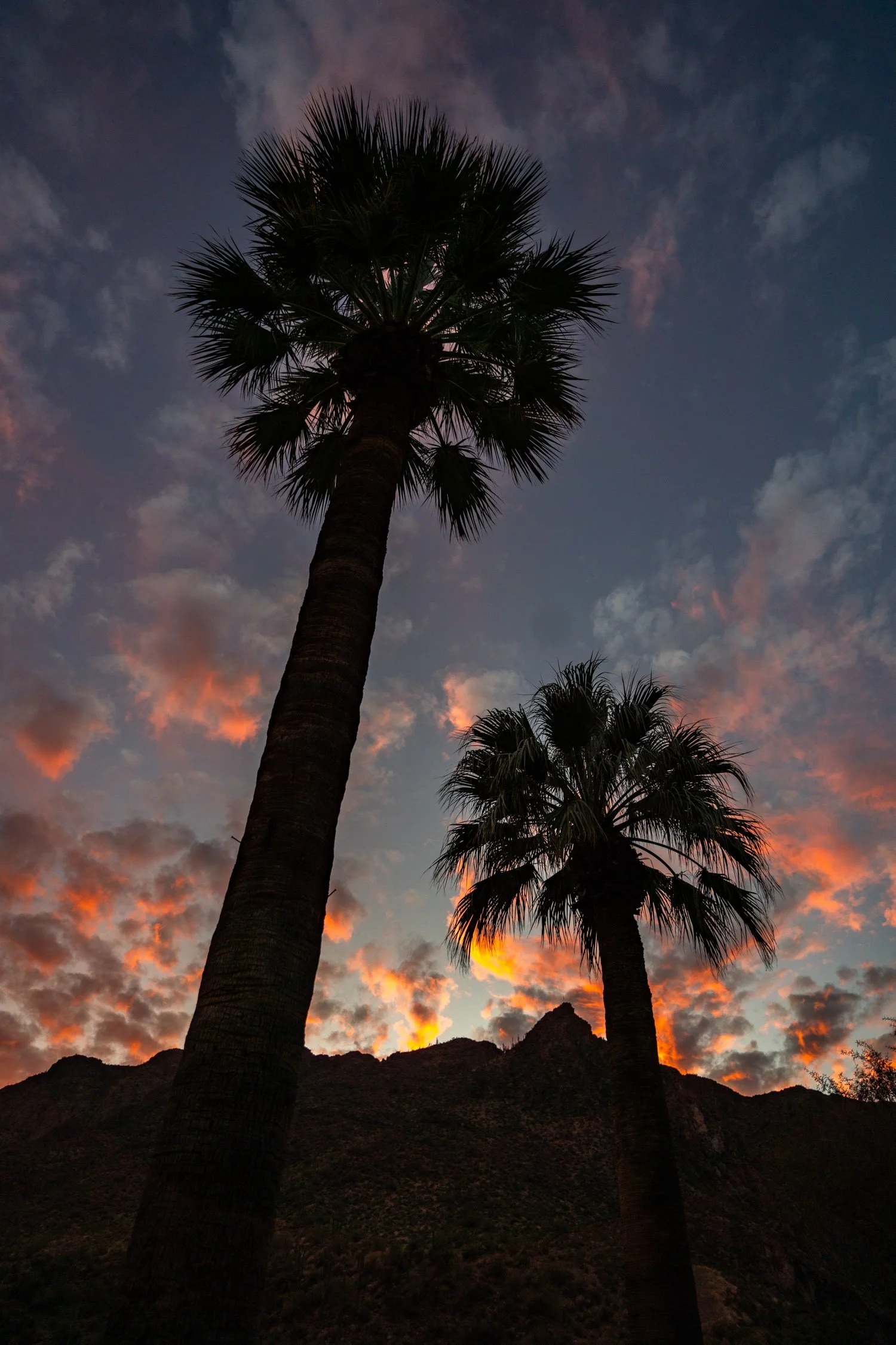  Staying at Castle Hot Springs in Scottsdale, AZ 