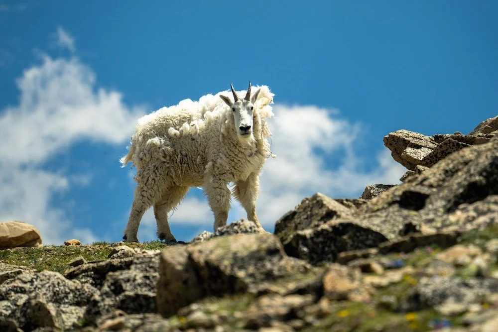 6 Bucket List Adventures in the Rocky Mountains