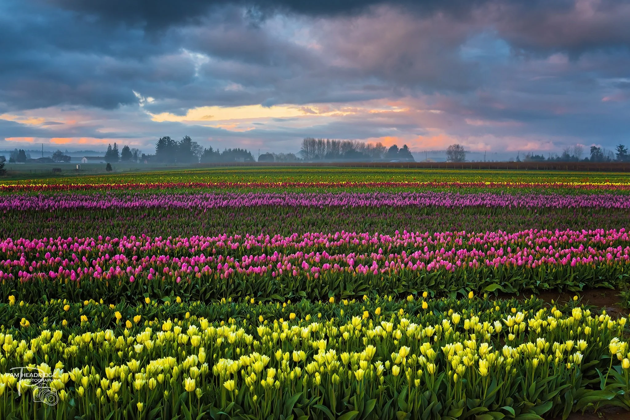 Here's 5 Reasons To Visit Skagit County In 2024