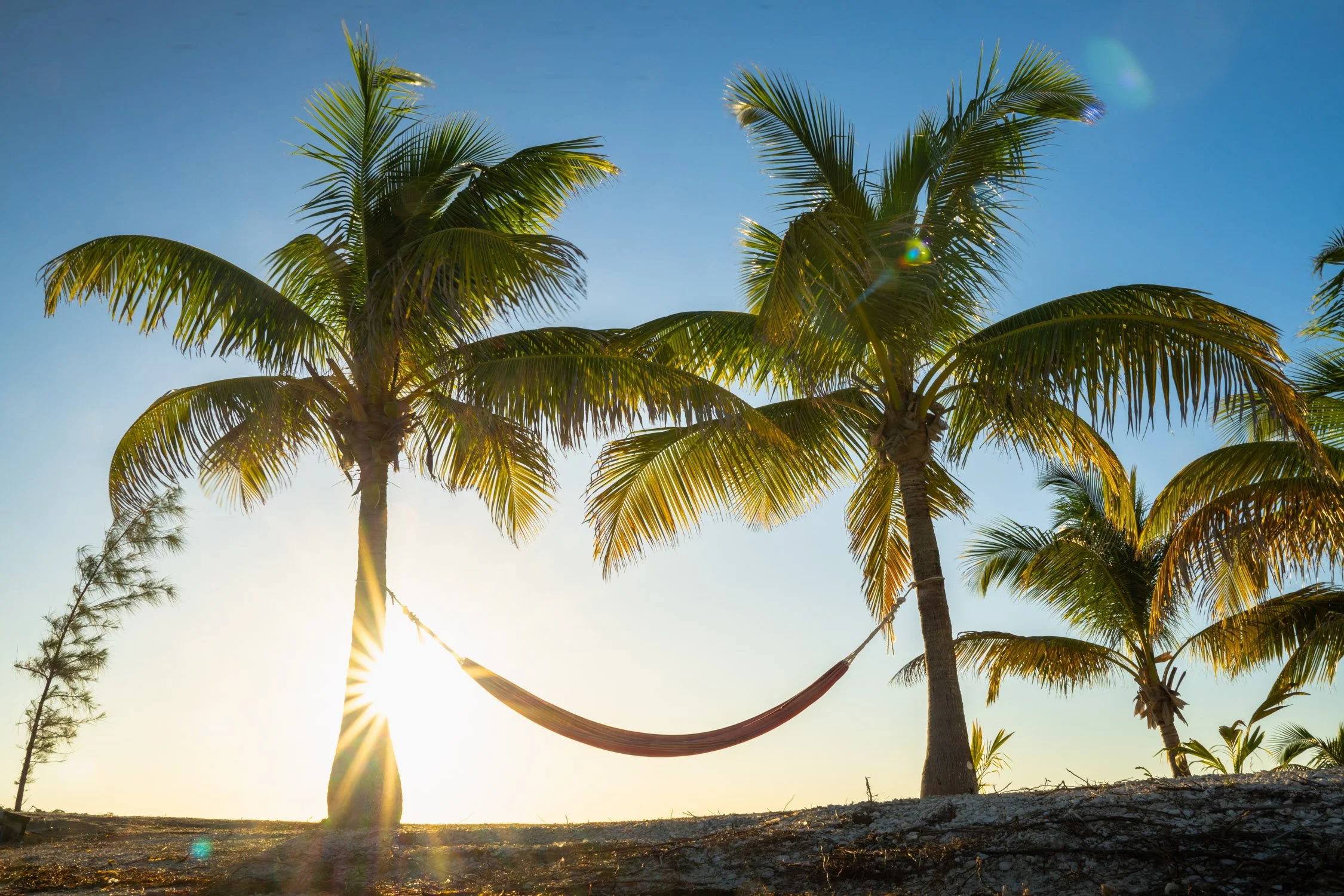 Here's How Flash Pack Is Transforming The Travel Industry For 30-50 Year Old's