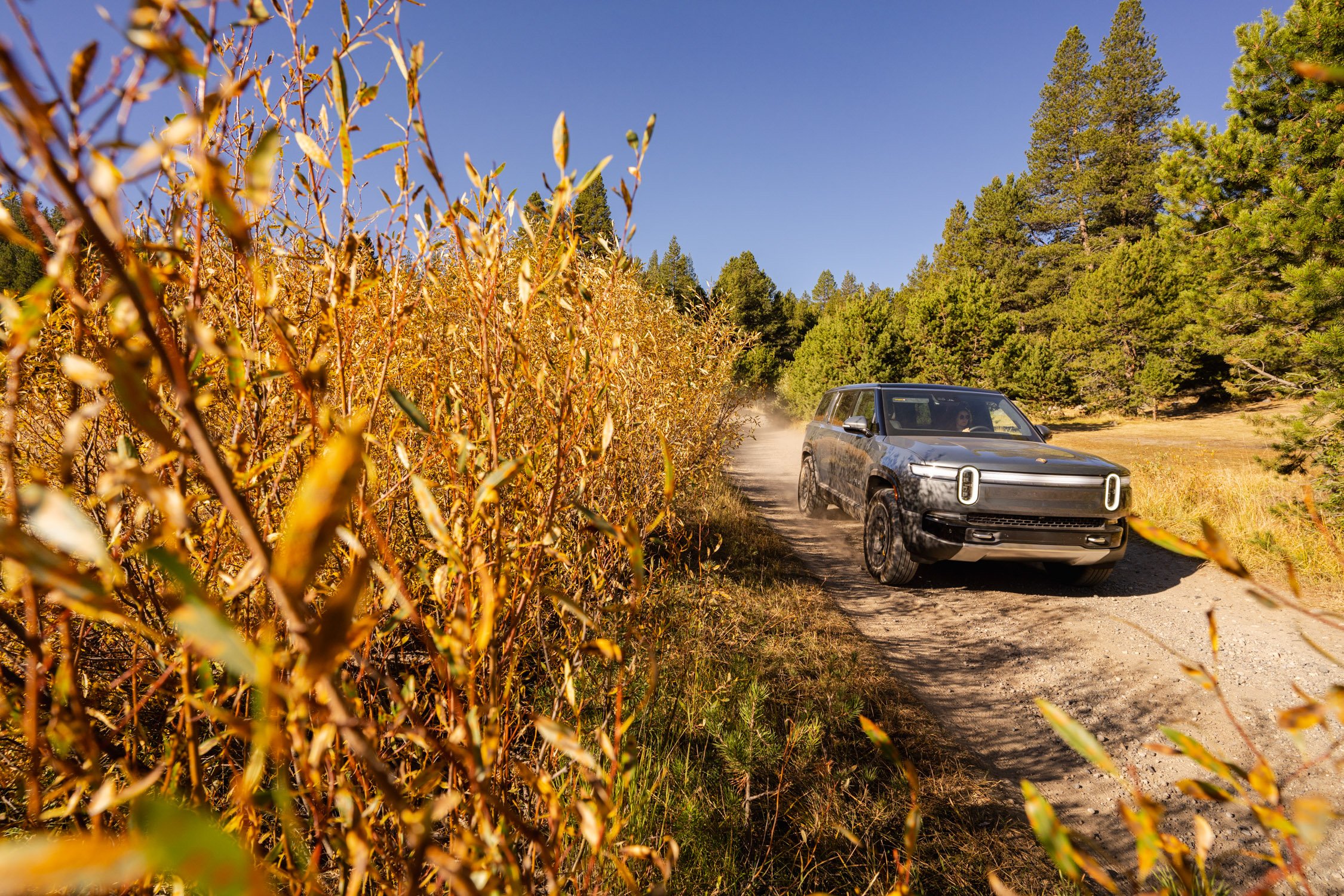 EV road trip around Northern California in search of fall colors for Rivian and AllTrails collaboration.