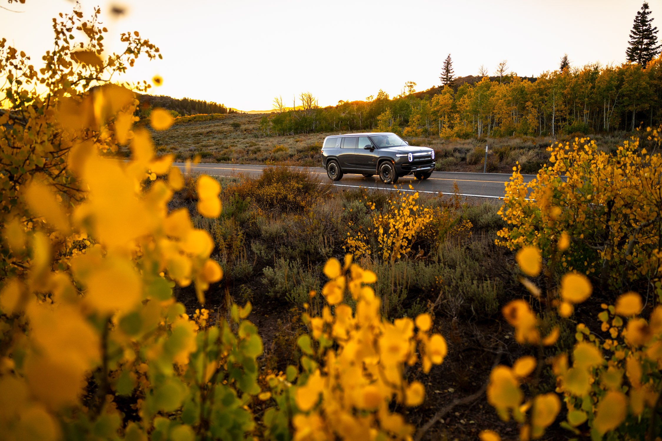 EV road trip around Northern California in search of fall colors for Rivian and AllTrails collaboration.