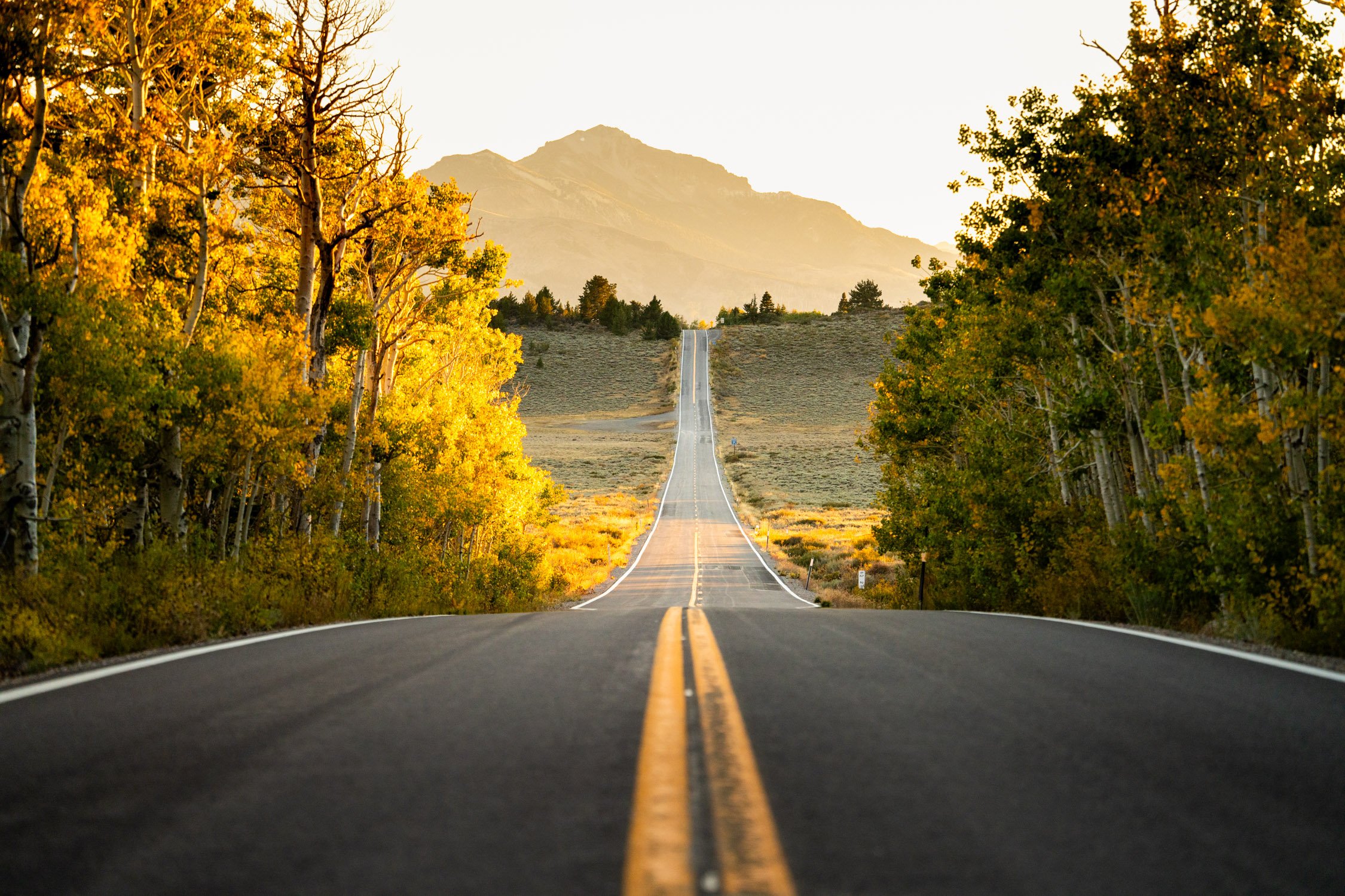 EV road trip around Northern California in search of fall colors for Rivian and AllTrails collaboration.