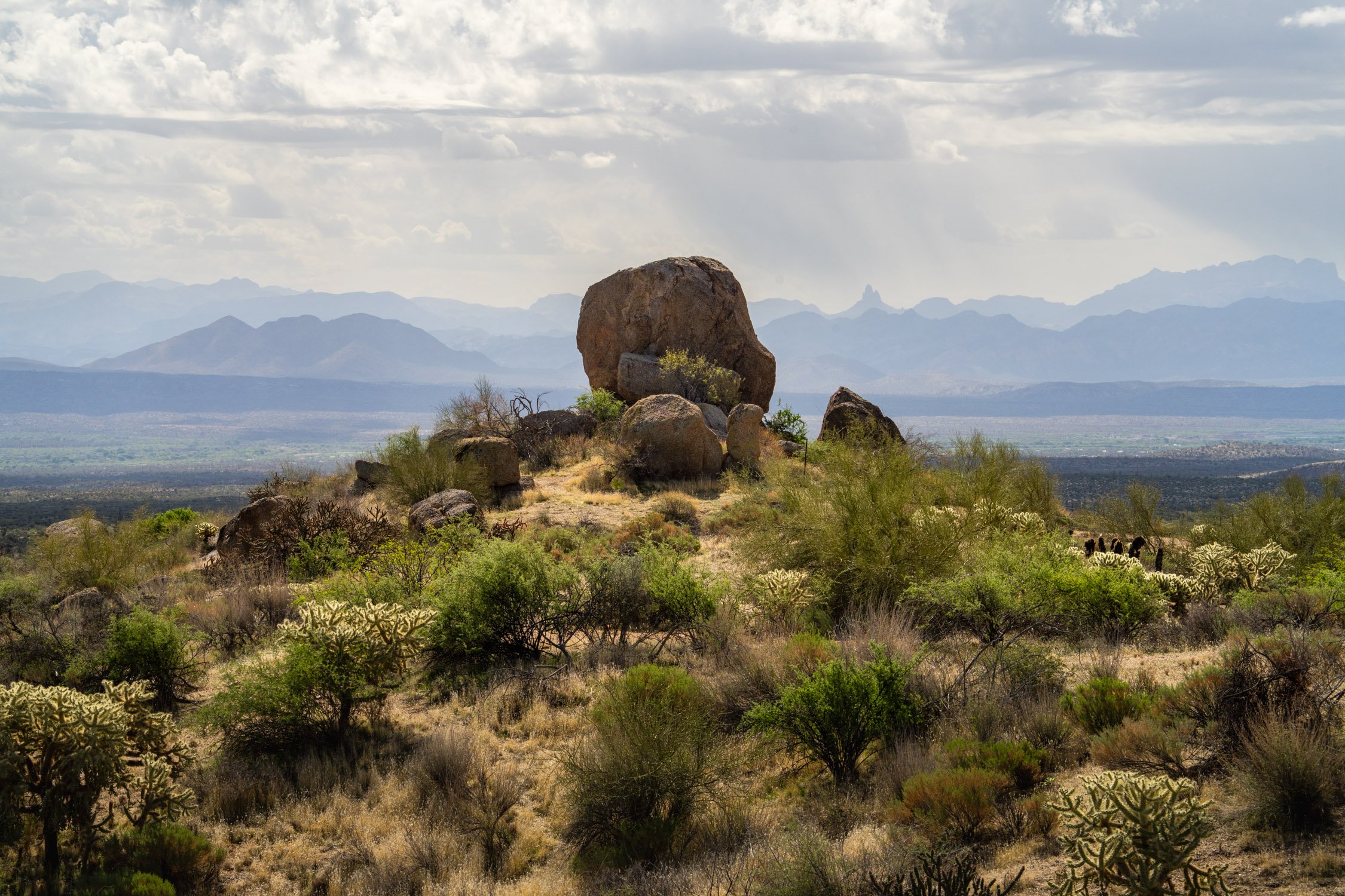 Landscape of McDowell Preserve in Scottsdale, AZ