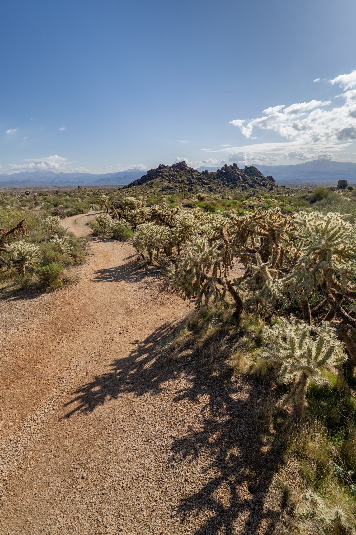 Landscape of McDowell Preserve in Scottsdale, AZ