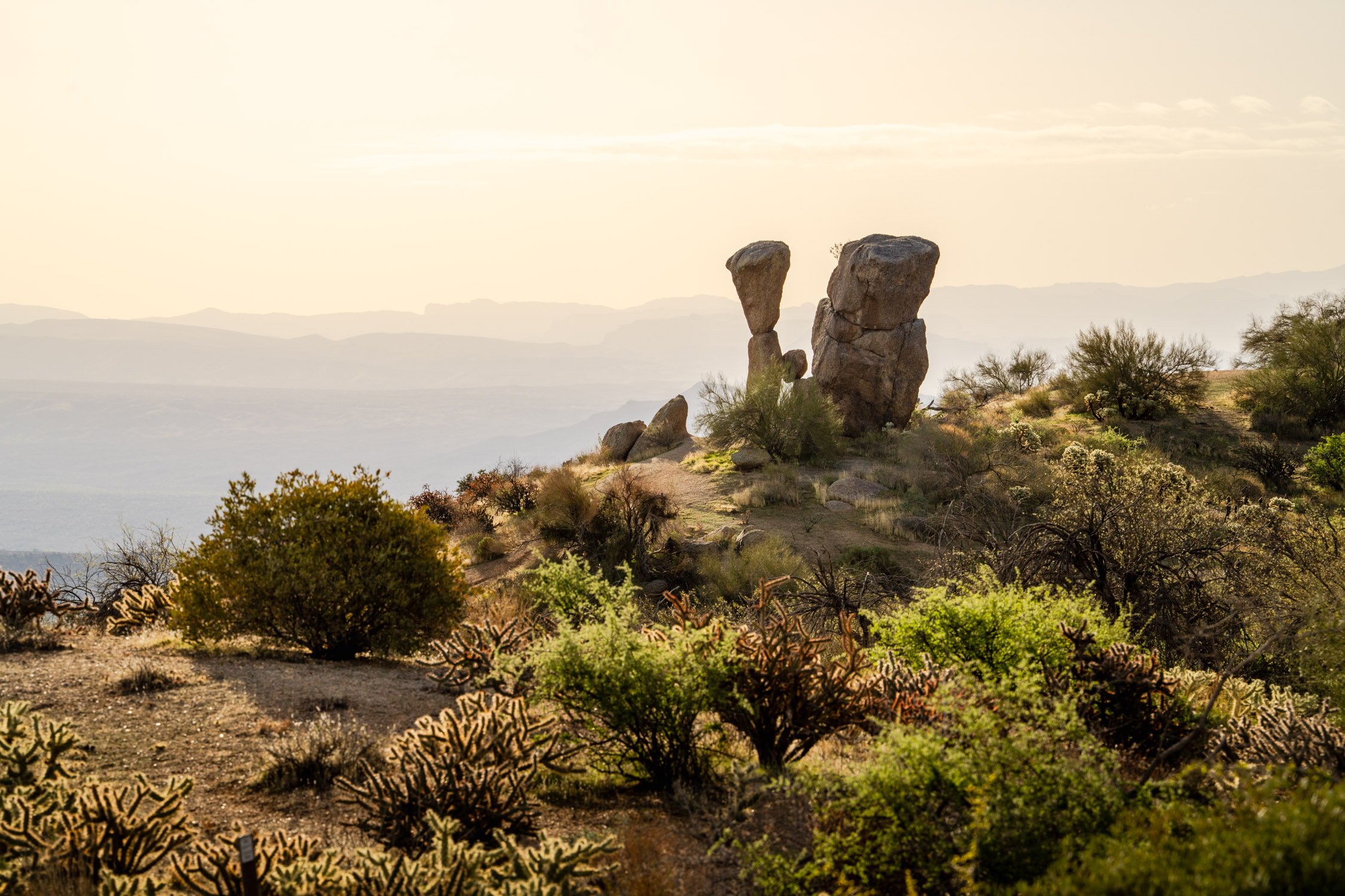 Landscape of McDowell Preserve in Scottsdale, AZ