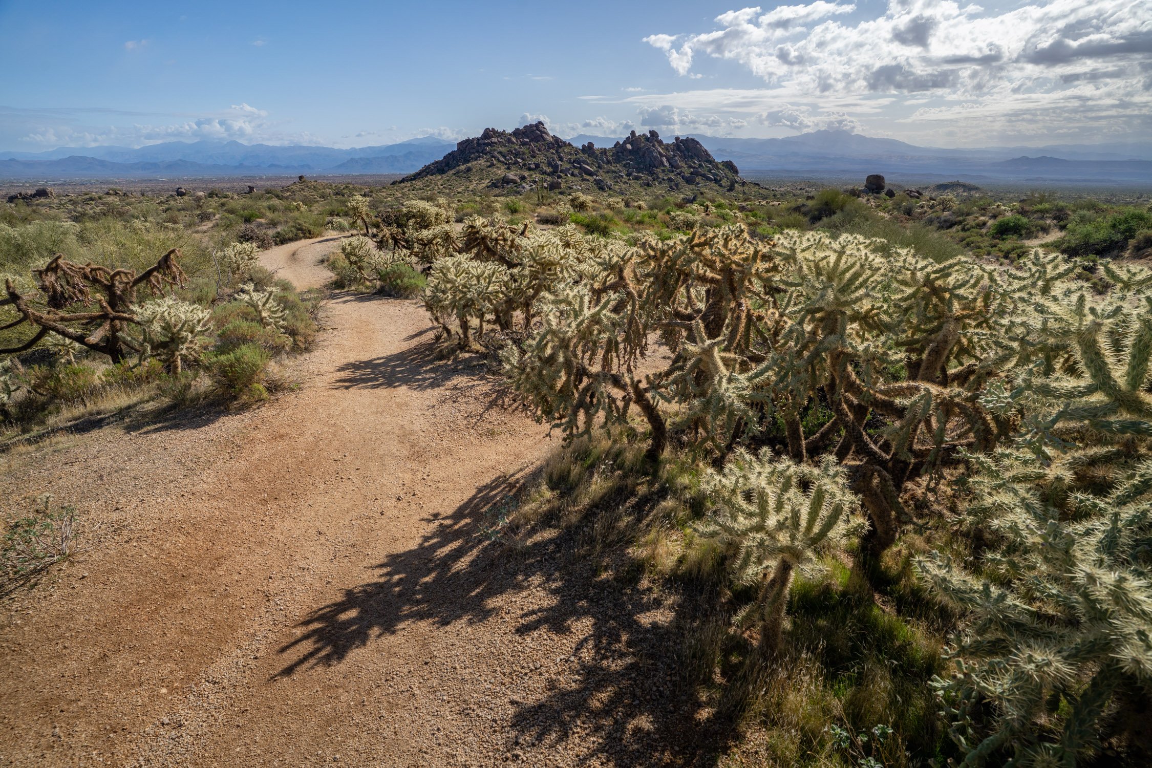 Landscape of McDowell Preserve in Scottsdale, AZ