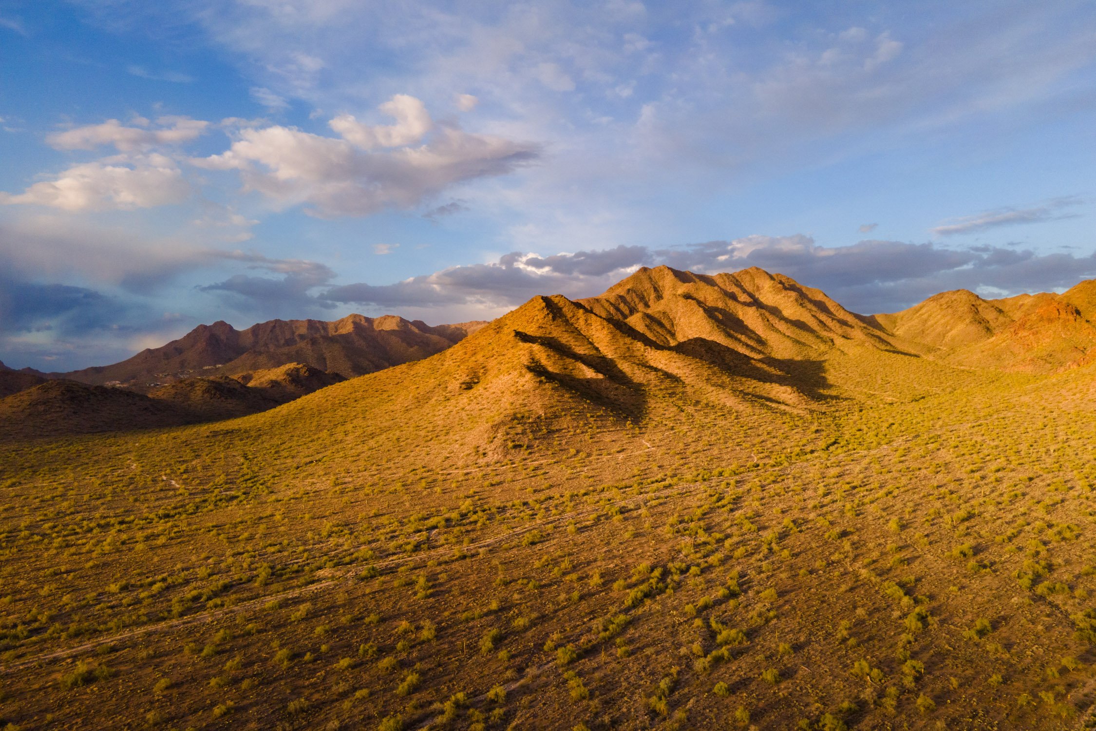 Landscape of McDowell Preserve in Scottsdale, AZ