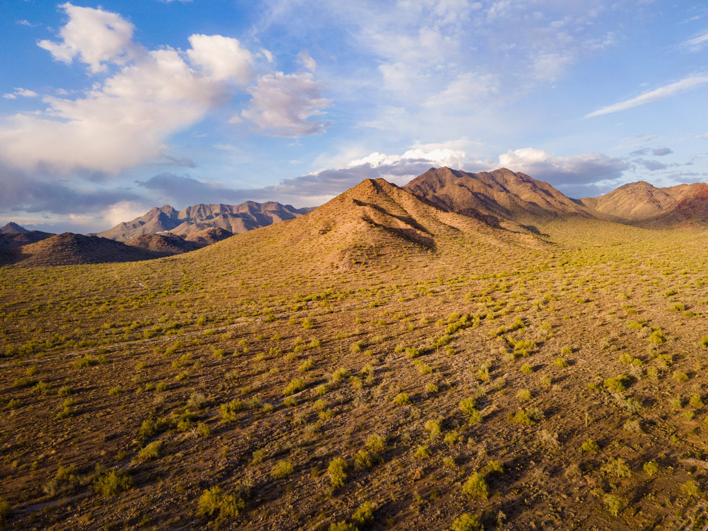 Landscape of McDowell Preserve in Scottsdale, AZ