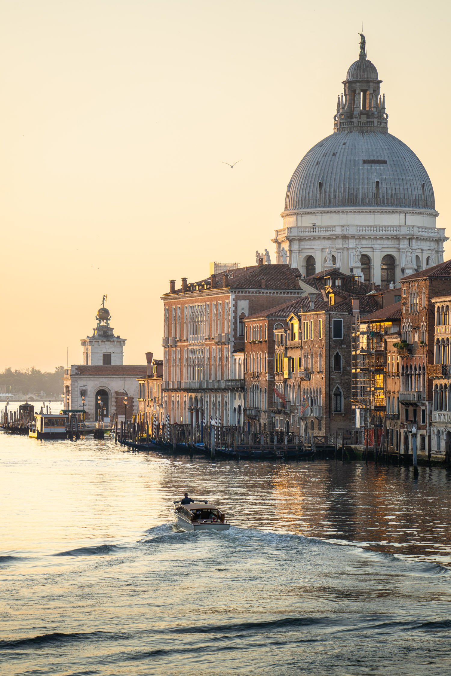DALTONJOHNSON_240617_VENICE AND DOLOMITES_VENICE, ITALY_00308.jpg