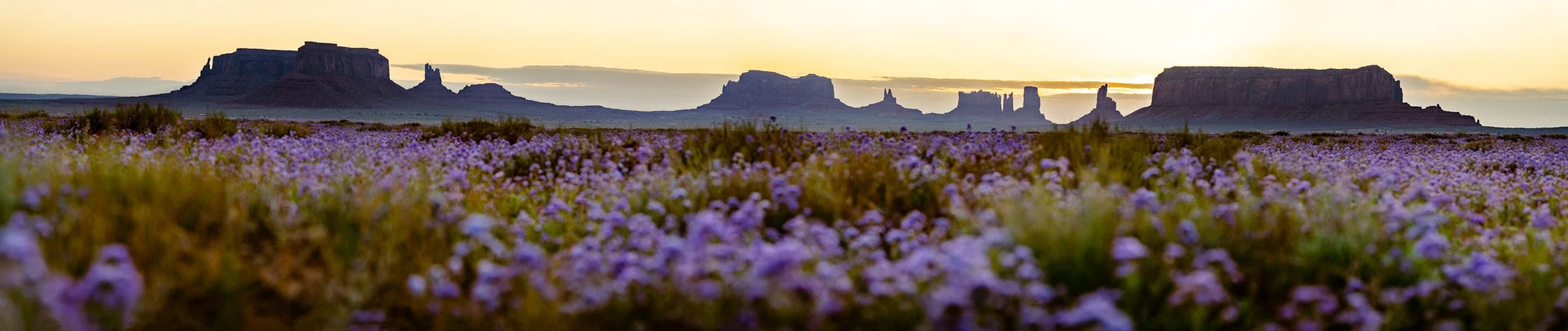 DALTONJOHNSON_230511_MONUMENT VALLEY SUNRISE_MONUMENT VALLEY, UT_00011-Pano.jpg