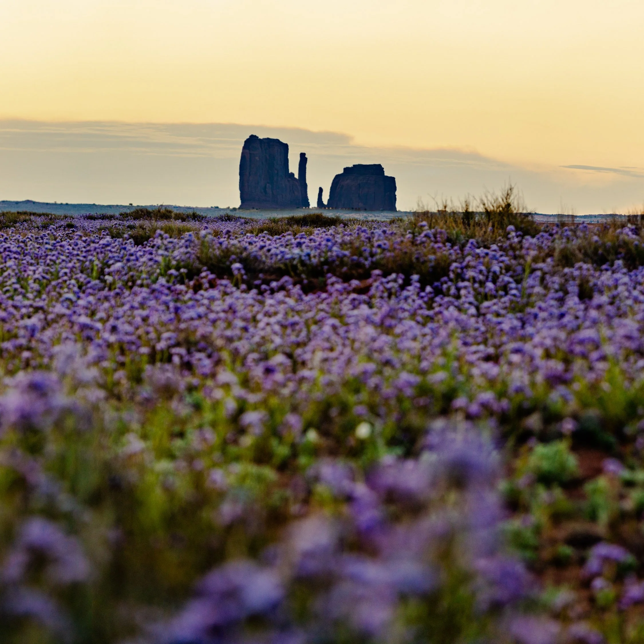DALTONJOHNSON_230511_MONUMENT VALLEY SUNRISE_MONUMENT VALLEY, UT_00035-Pano.jpg