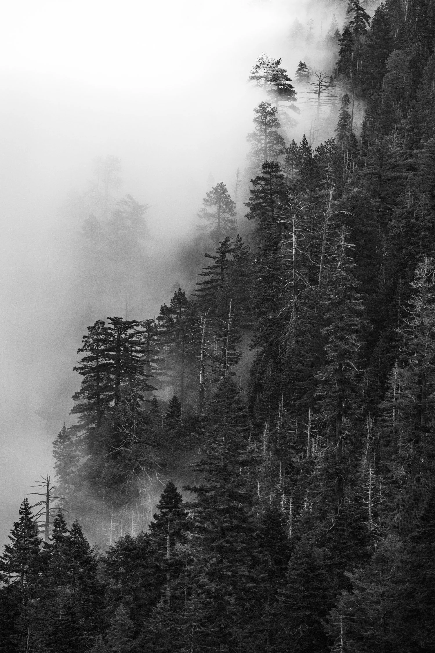 DALTONJOHNSON_251211_EMERALD BAY INVSERSION LAYER SUNSET_STILLS_SOUTH LAKE TAHOE, CA_00013.jpg