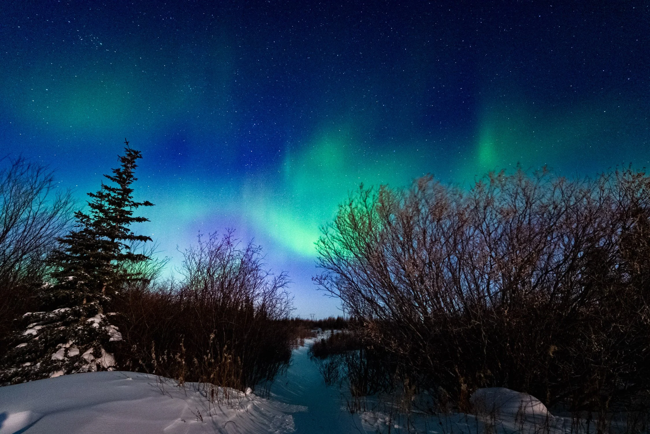 DALTONJOHNSON_240228_NORTHERN LIGHTS WITH FRONTIER NORTH_STILLS_NIGHT ONE_CHURCHILL, CANADA_00066.jpg