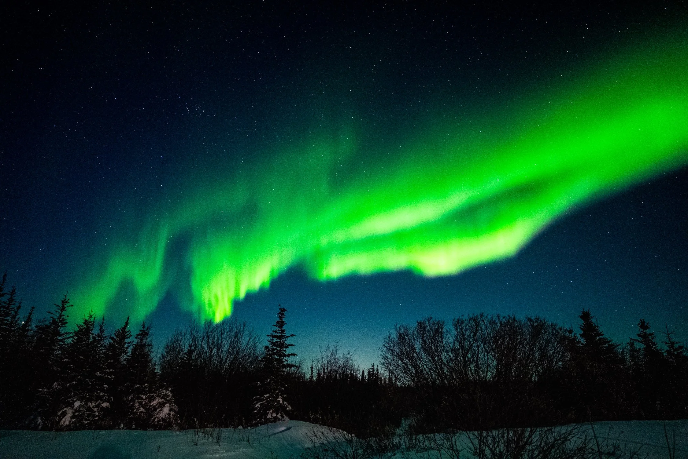 DALTONJOHNSON_240228_NORTHERN LIGHTS WITH FRONTIER NORTH_STILLS_NIGHT ONE_CHURCHILL, CANADA_00053.jpg
