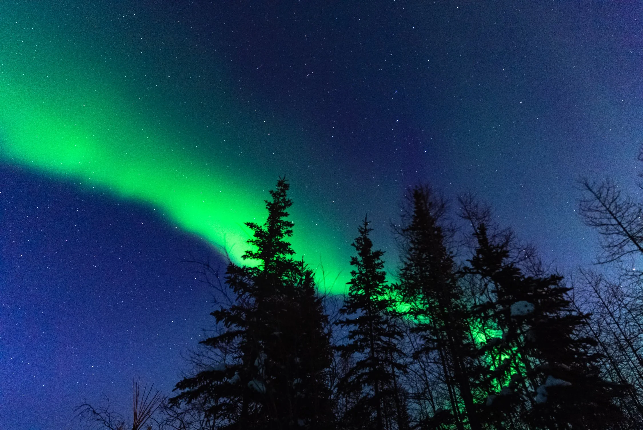 DALTONJOHNSON_240228_NORTHERN LIGHTS WITH FRONTIER NORTH_STILLS_NIGHT ONE_CHURCHILL, CANADA_00034.jpg