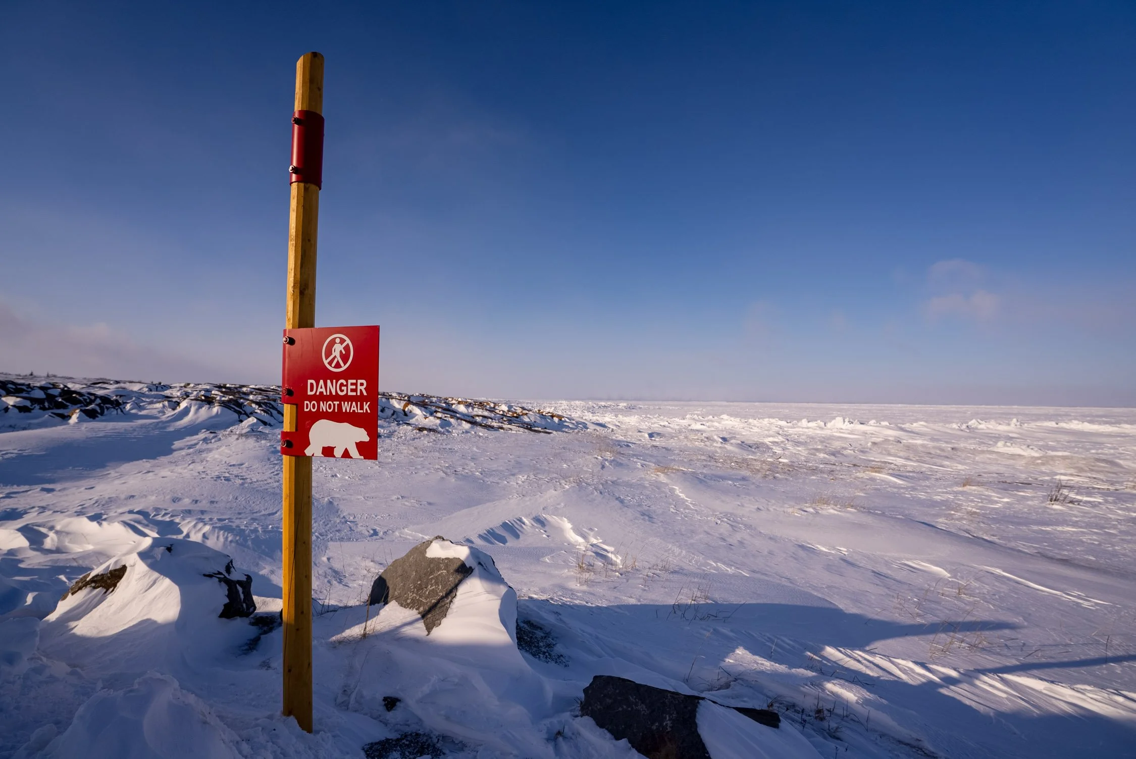 DALTONJOHNSON_240228_NORTHERN LIGHTS WITH FRONTIER NORTH_STILLS_NIGHT ONE_CHURCHILL, CANADA_00000.jpg