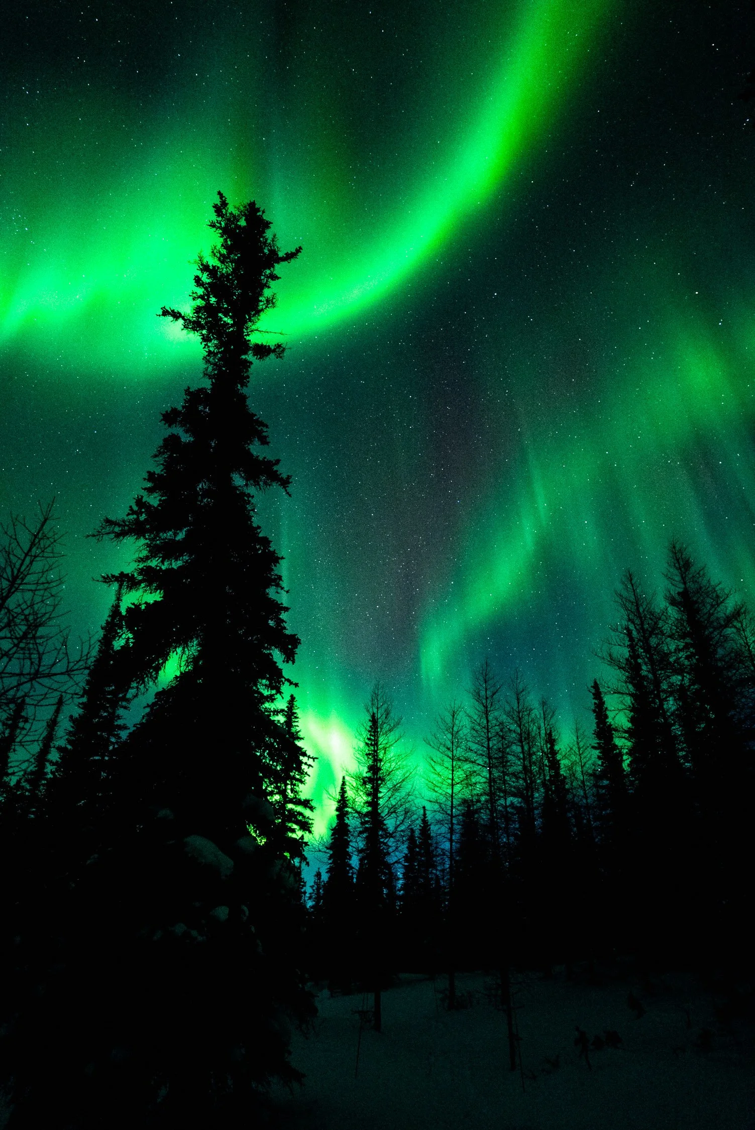 DALTONJOHNSON_240228_NORTHERN LIGHTS WITH FRONTIER NORTH_STILLS_NIGHT THREE_CHURCHILL, CANADA_00047.jpg