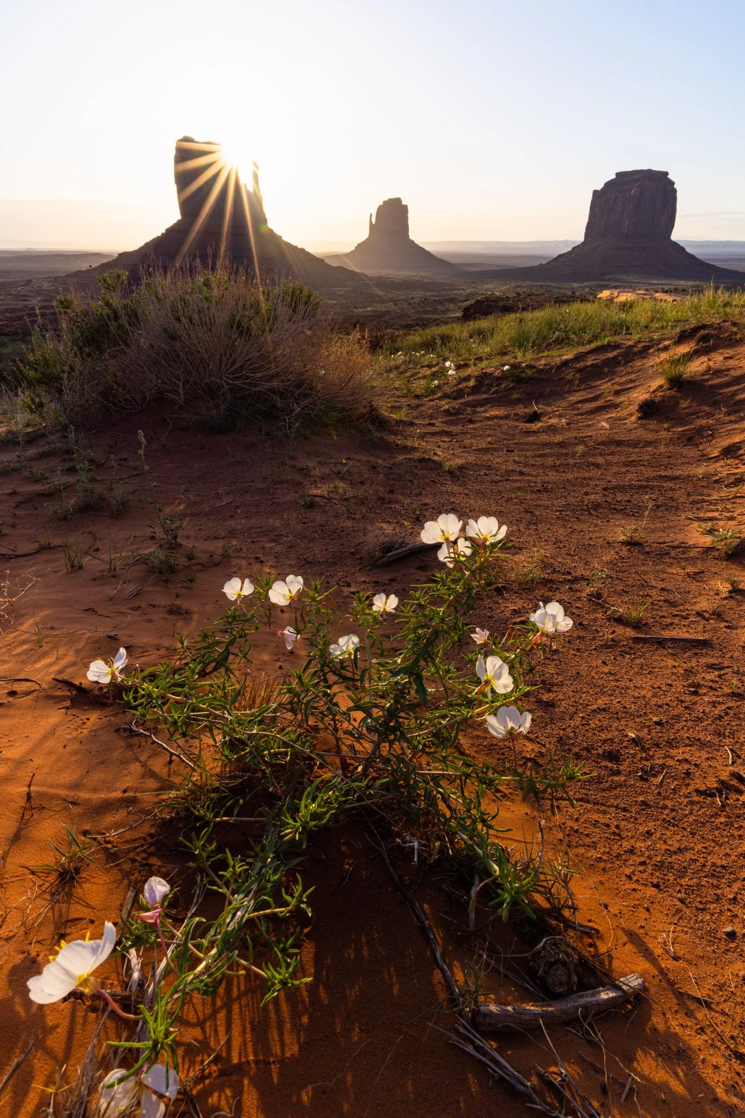 DALTONJOHNSON_230511_MONUMENT VALLEY SUNRISE_MONUMENT VALLEY, UT_00174.jpg