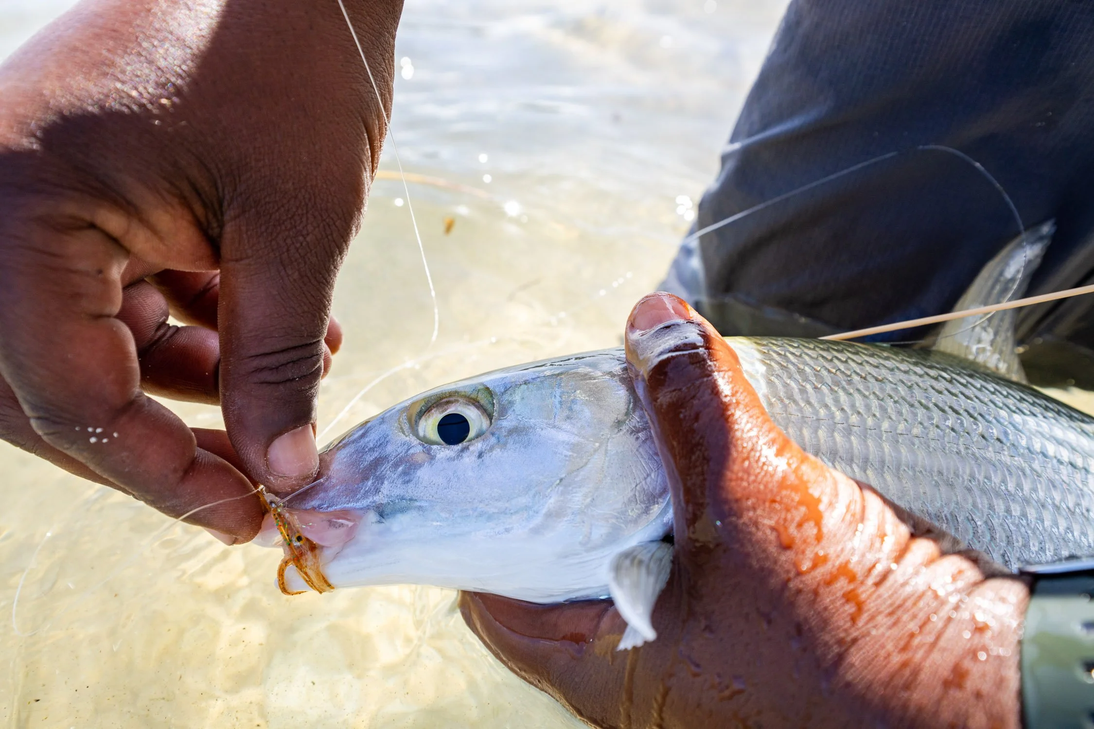 DALTONJOHNSON_240106-10_TURNEFFE ISLAND RESORT FAM TRIP_DAY 2 FLY FISHING_STILLS_TURNEFFE ISLAND, BELIZE_00216.jpg