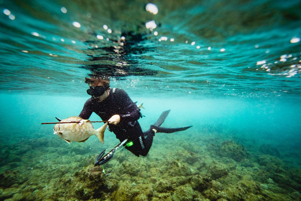 Best Time to Spearfish in Baja