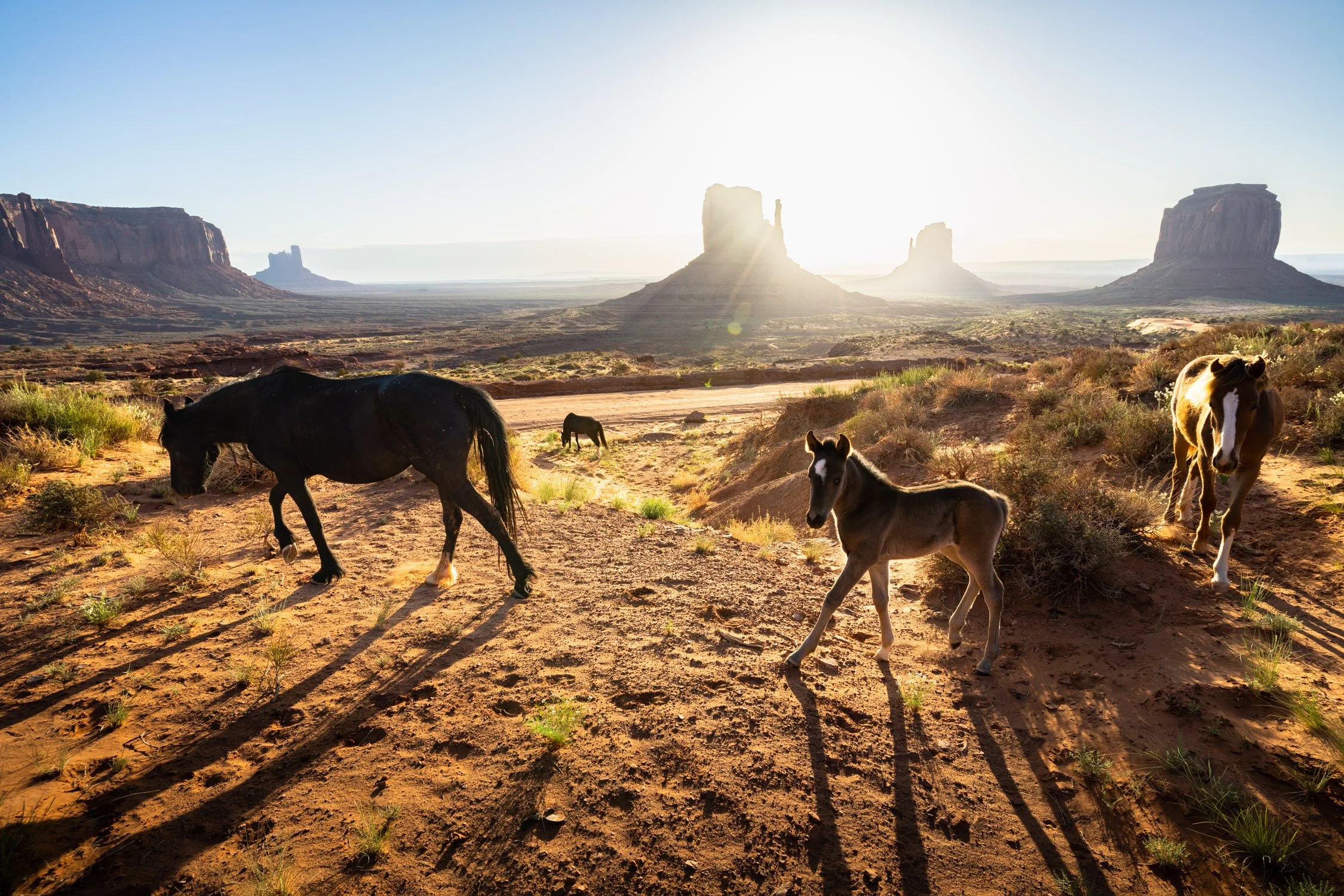 DALTONJOHNSON_230511_MONUMENT VALLEY SUNRISE_MONUMENT VALLEY, UT_00275.jpg