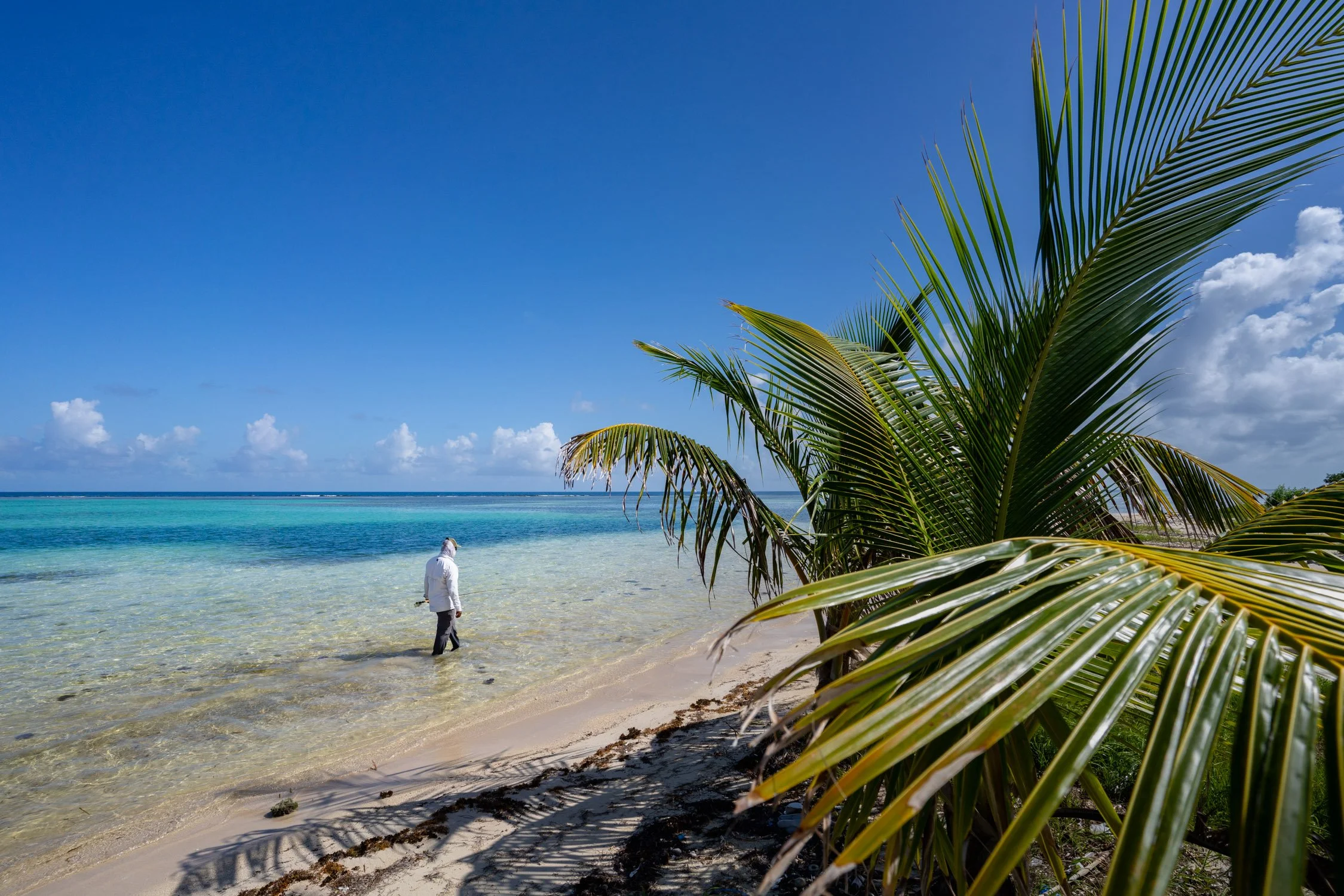 DALTONJOHNSON_240106-10_TURNEFFE ISLAND RESORT FAM TRIP_DAY 2 FLY FISHING_STILLS_TURNEFFE ISLAND, BELIZE_00167.jpg