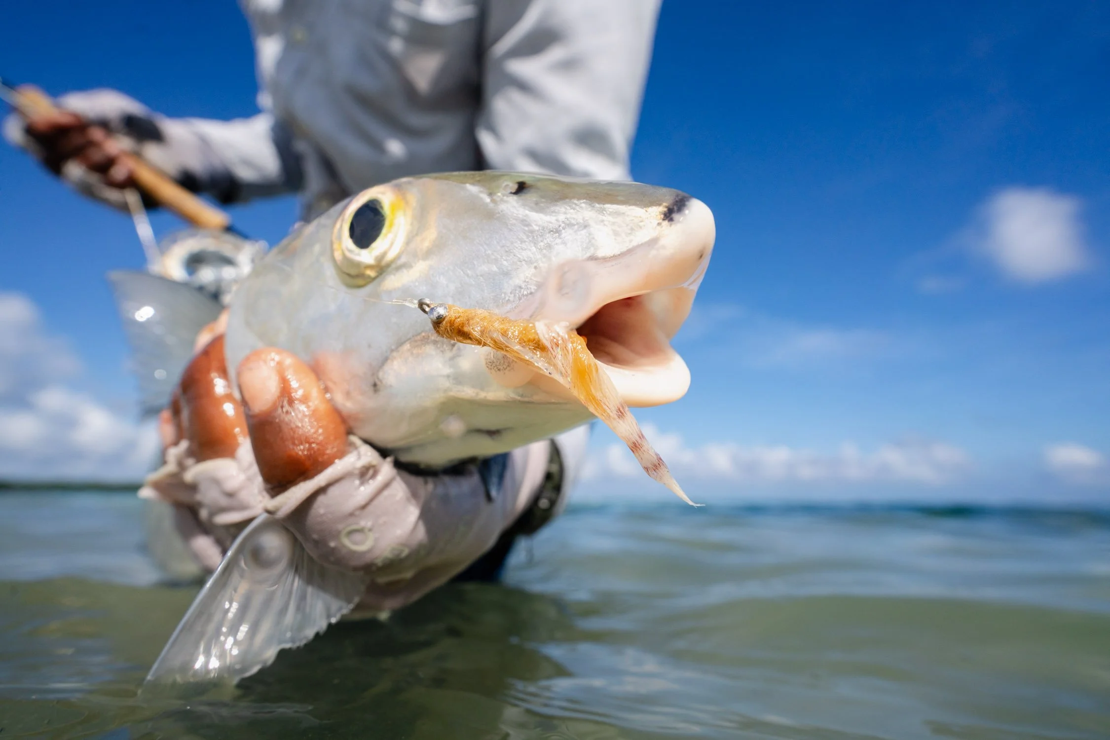 DALTONJOHNSON_240106-10_TURNEFFE ISLAND RESORT FAM TRIP_DAY 2 FLY FISHING_STILLS_TURNEFFE ISLAND, BELIZE_00988.jpg