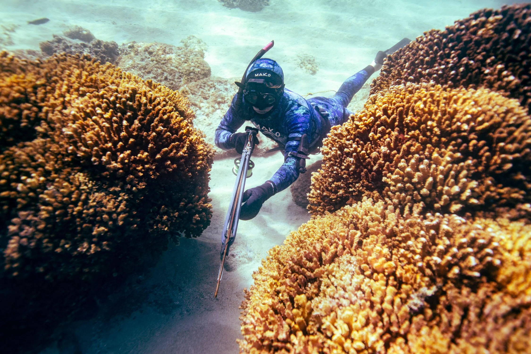 DALTONJOHNSON_220108_SPEARFISHING WITH ANDREW IN LA VENTANA_BAJA SUR, MX_00612.jpg