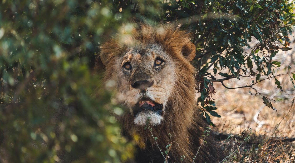 Here Are Four Ways To Solo Travel Africa With Flash Pack
