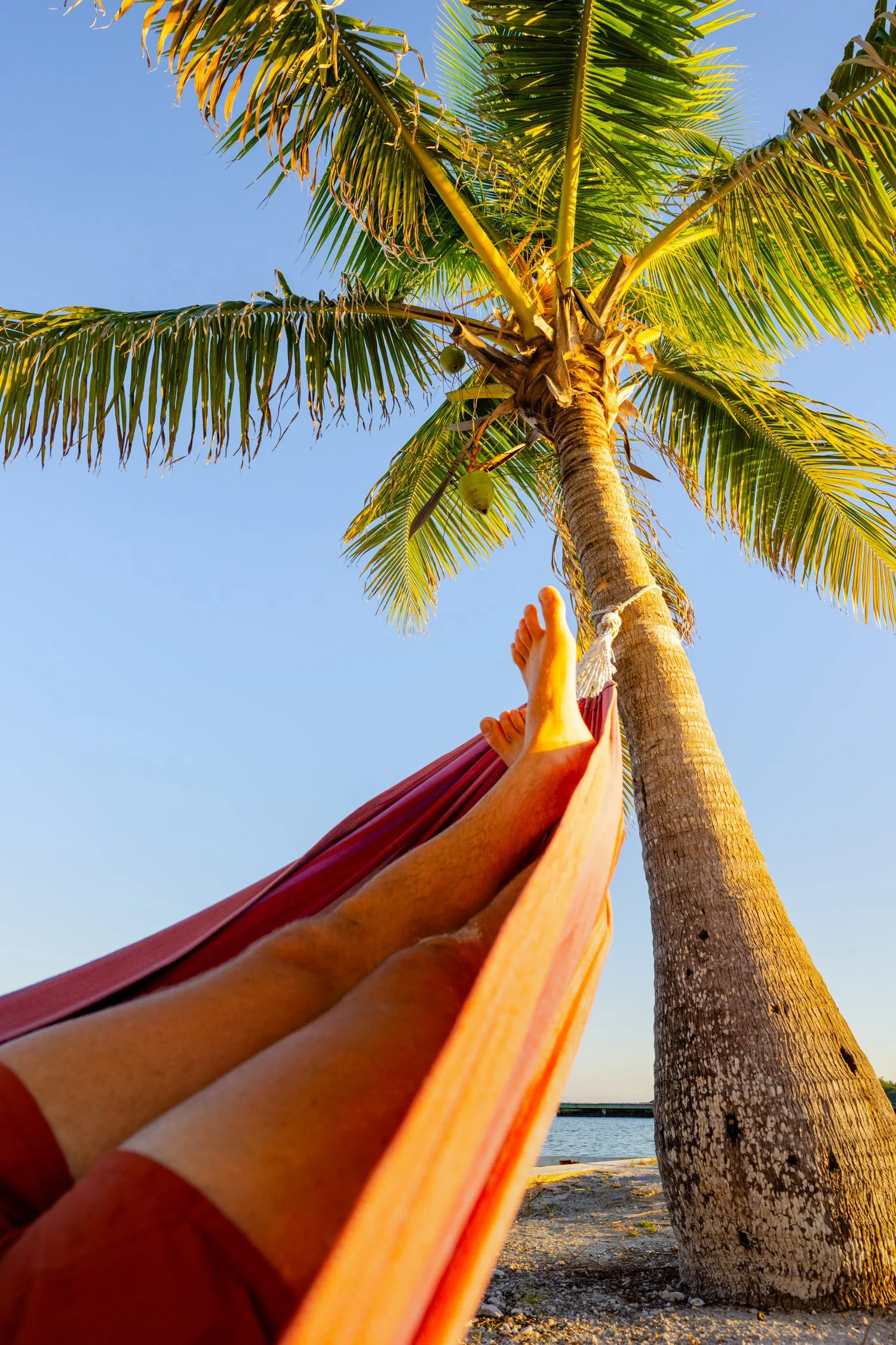 DALTONJOHNSON_240106-10_TURNEFFE ISLAND RESORT FAM TRIP_STILLS_DAY 1_TURNEFFE ISLAND, BELIZE_00118-2.jpg