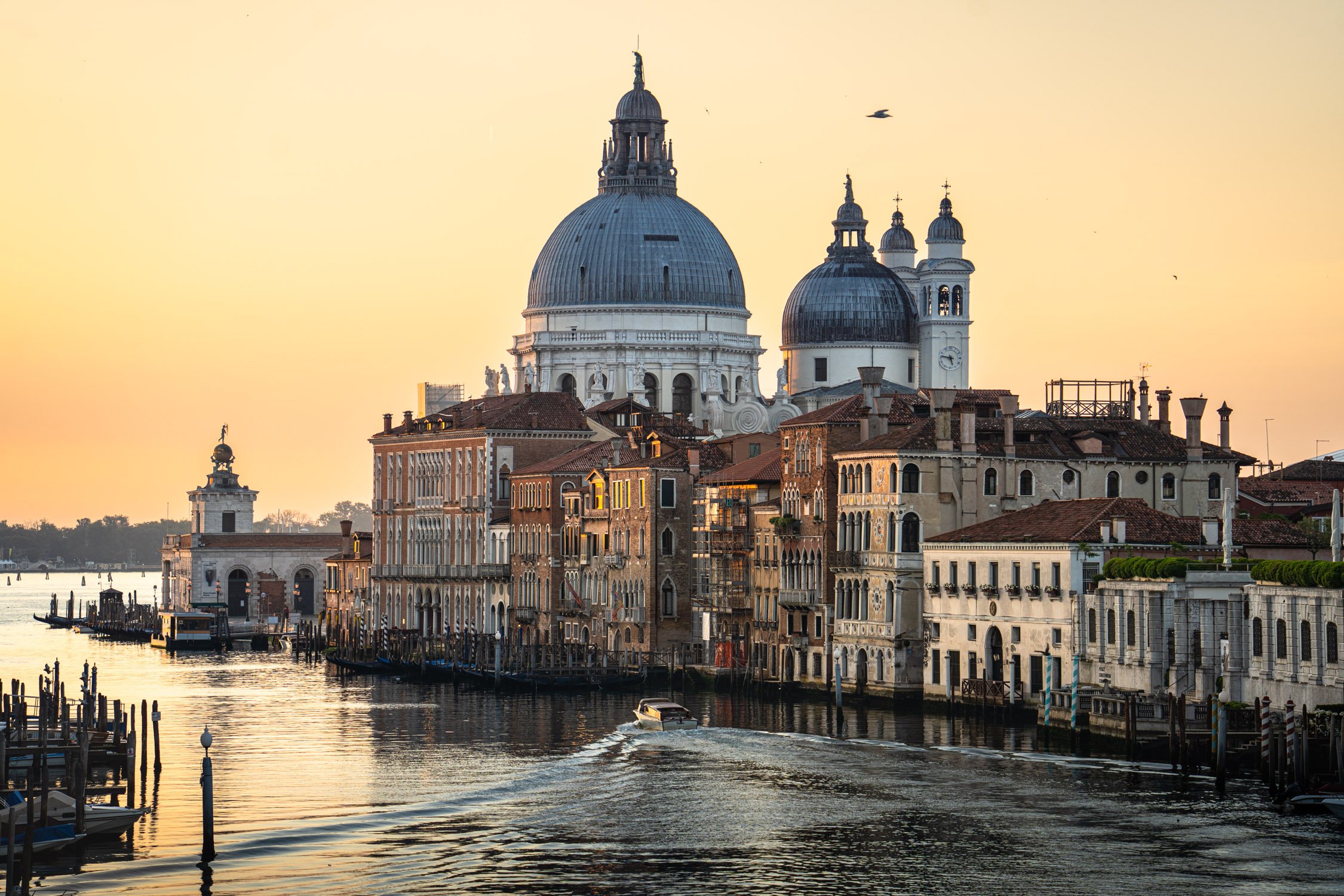 DALTONJOHNSON_240617_VENICE AND DOLOMITES_VENICE, ITALY_00291.jpg