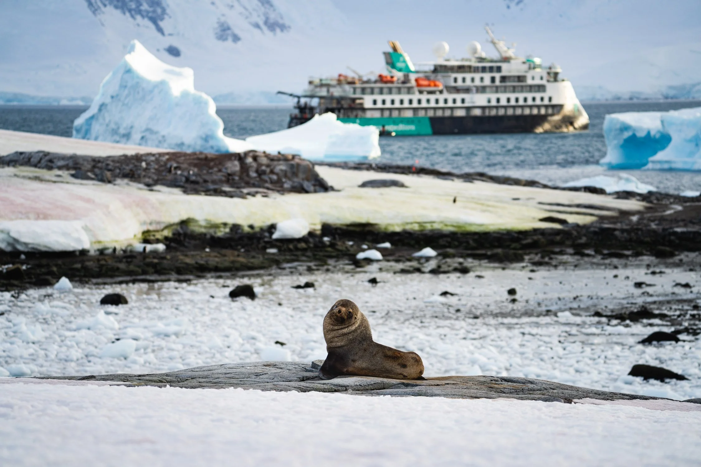 DALTONJOHNSON_240308-26_ADVENTURESMITH+EXPLORATIONS+AND+AURORA+EXPEDITIONS+TO+ANTARCTICA_STILLS_DAY+9_ANTARCTICA_00166.jpg