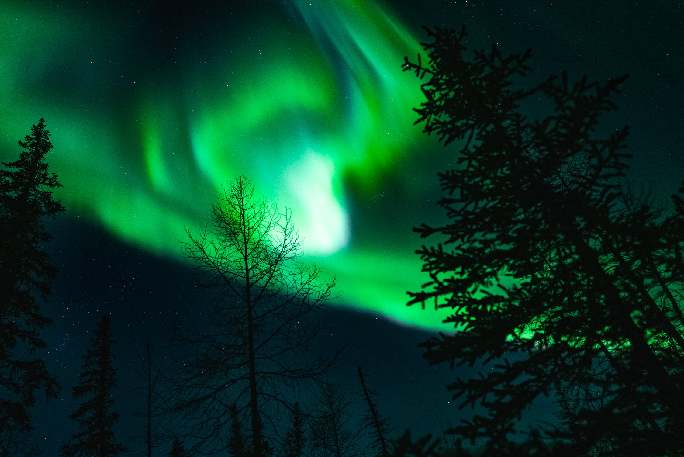 Here's Why the Northern Lights Are So Bright Right Now