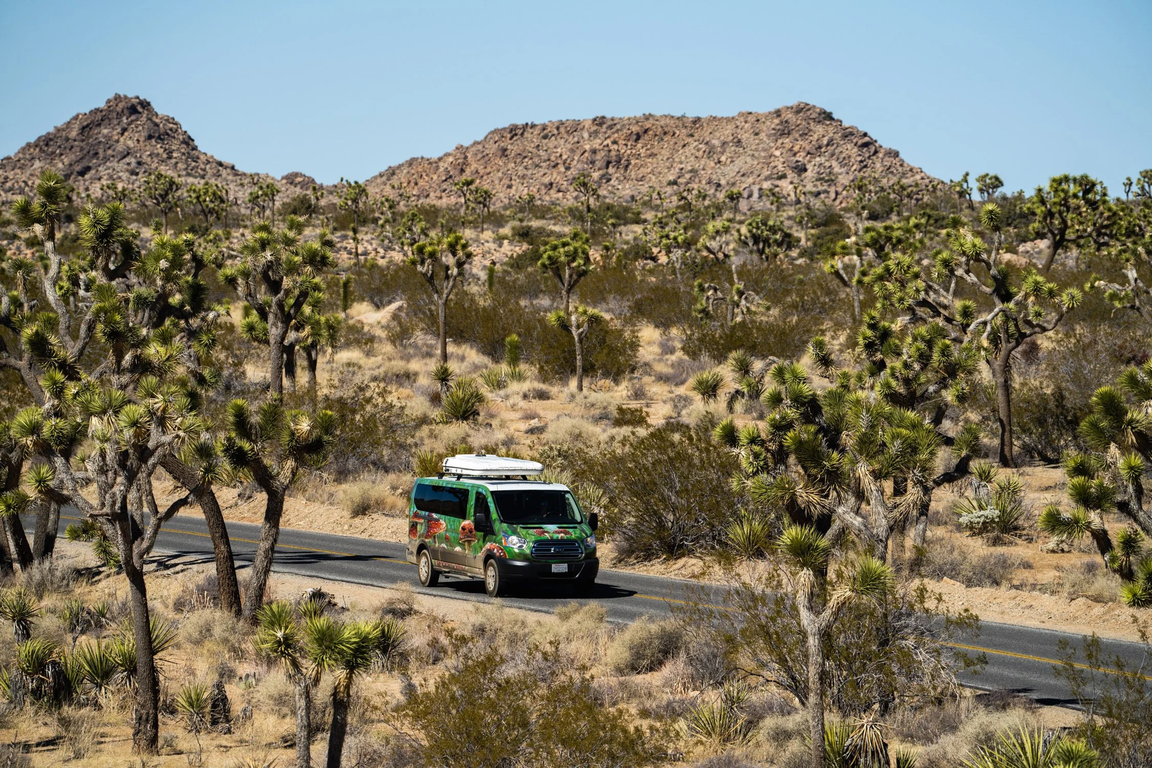 DALTONJOHNSON_220210_DAY 4 88 HOUR PROJECT DRIVING VEHICLES KRISTIN_JOSHUA TREE, CA_00400.jpg