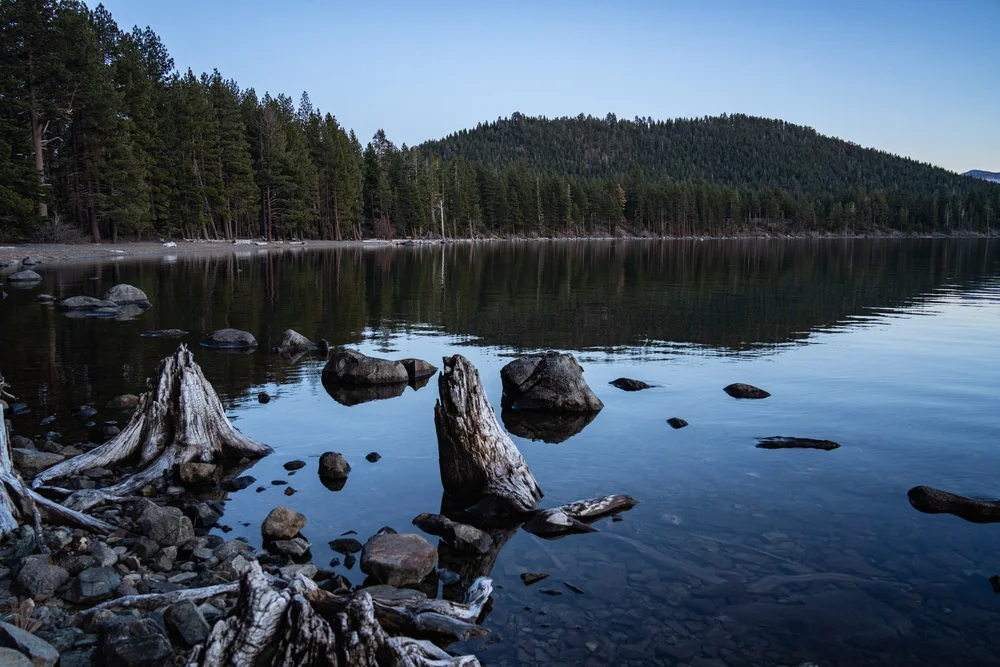 DALTONJOHNSON_251130_A LATE AUTUMN WALK AT FALLEN LEAF LAKE_SOUTH LAKE TAHOE, CA_00016.jpg