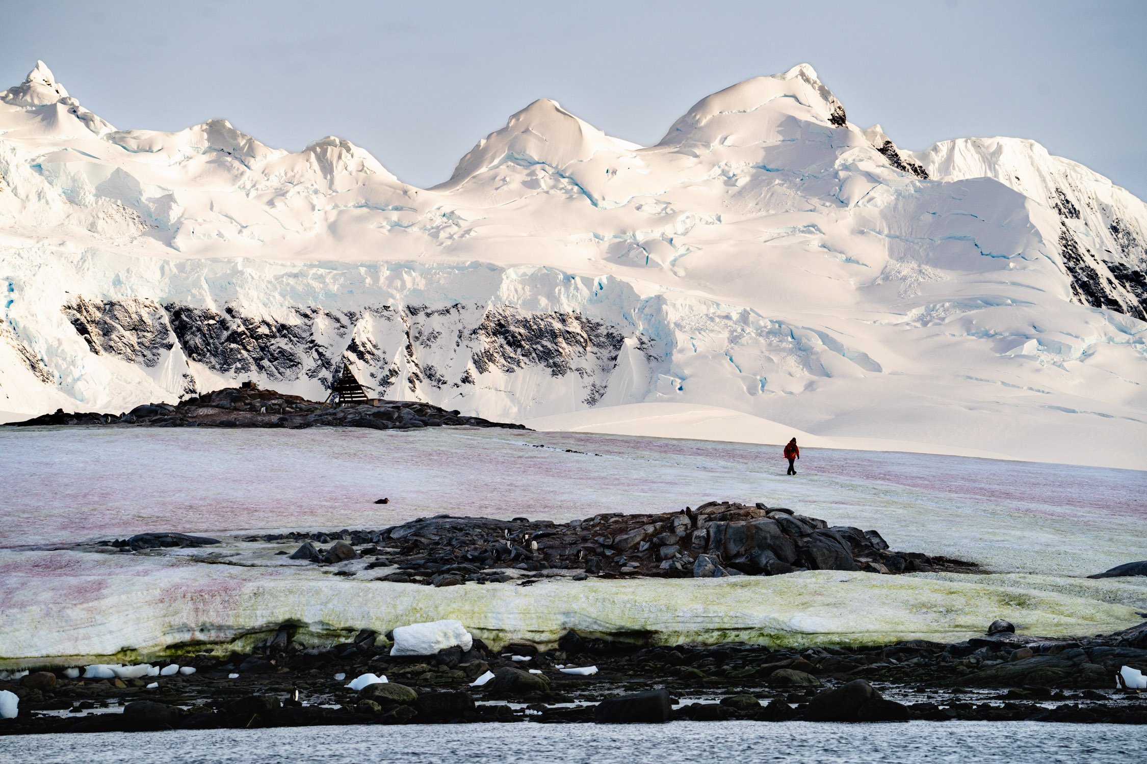 686's GORE-TEX Bib Excelled In Antartica, It'll Do Just Fine Anywhere Else