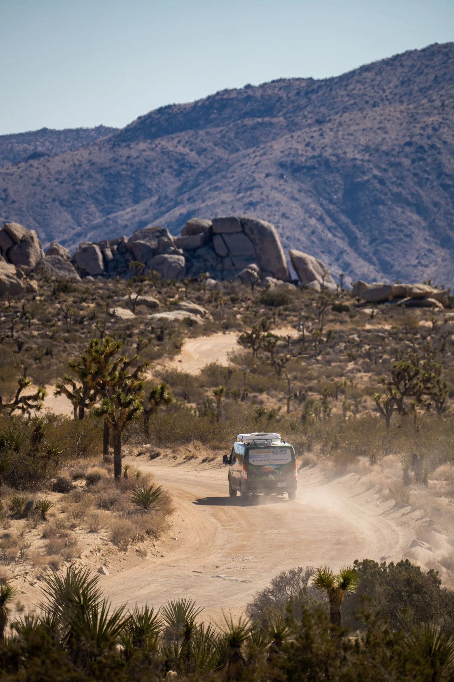 DALTONJOHNSON_220210_DAY 4 88 HOUR PROJECT DRIVING VEHICLES KRISTIN_JOSHUA TREE, CA_00517.jpg