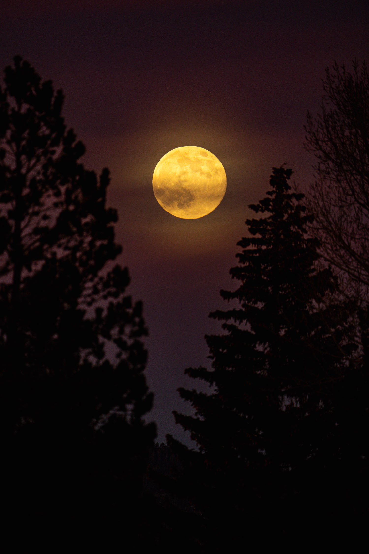 DALTONJOHNSON_251204_SUPERMOON IN SOUTH LAKE TAHOE, SOUTH LAKE TAHOE, CA_00076.jpg