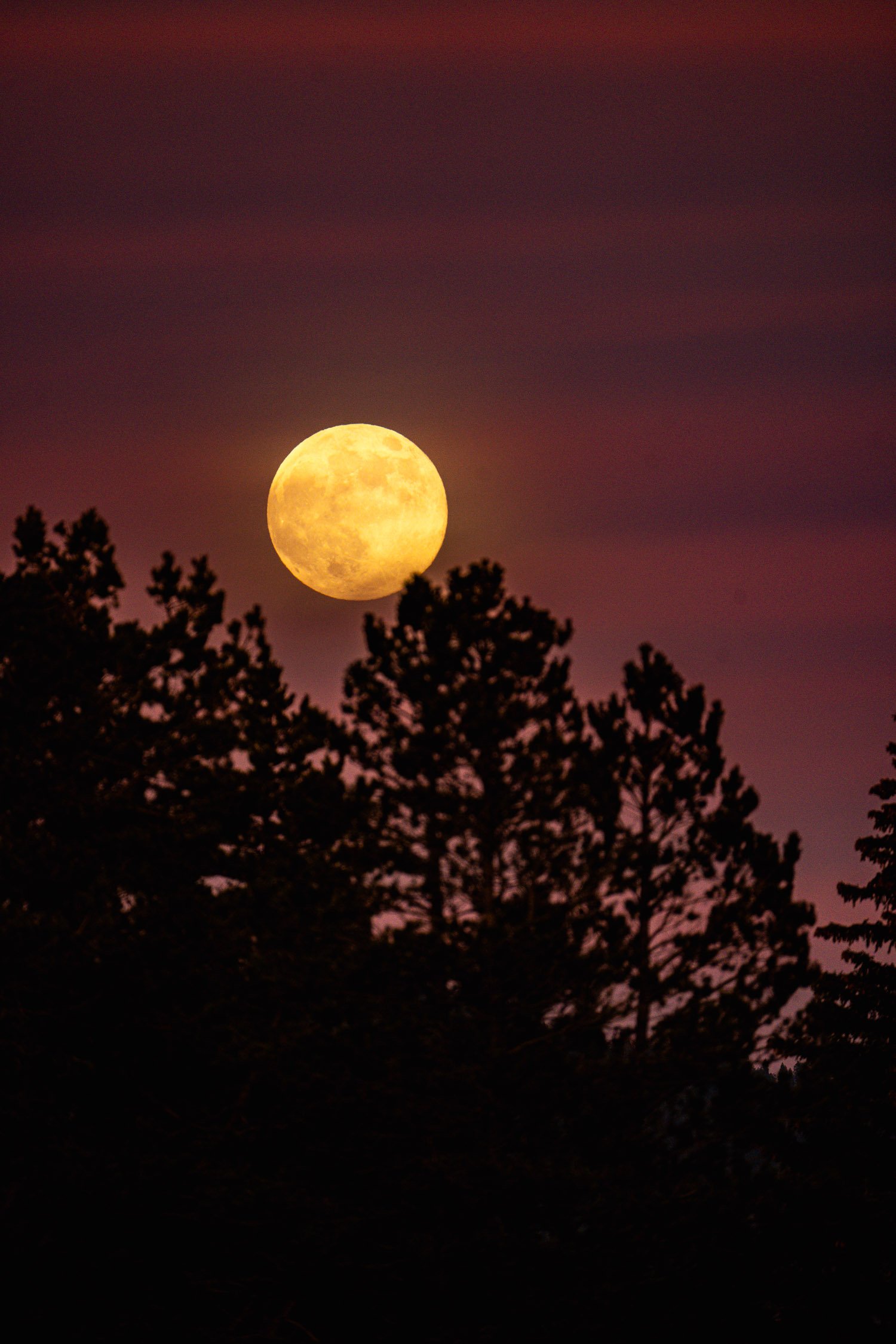 DALTONJOHNSON_251204_SUPERMOON IN SOUTH LAKE TAHOE, SOUTH LAKE TAHOE, CA_00054.jpg