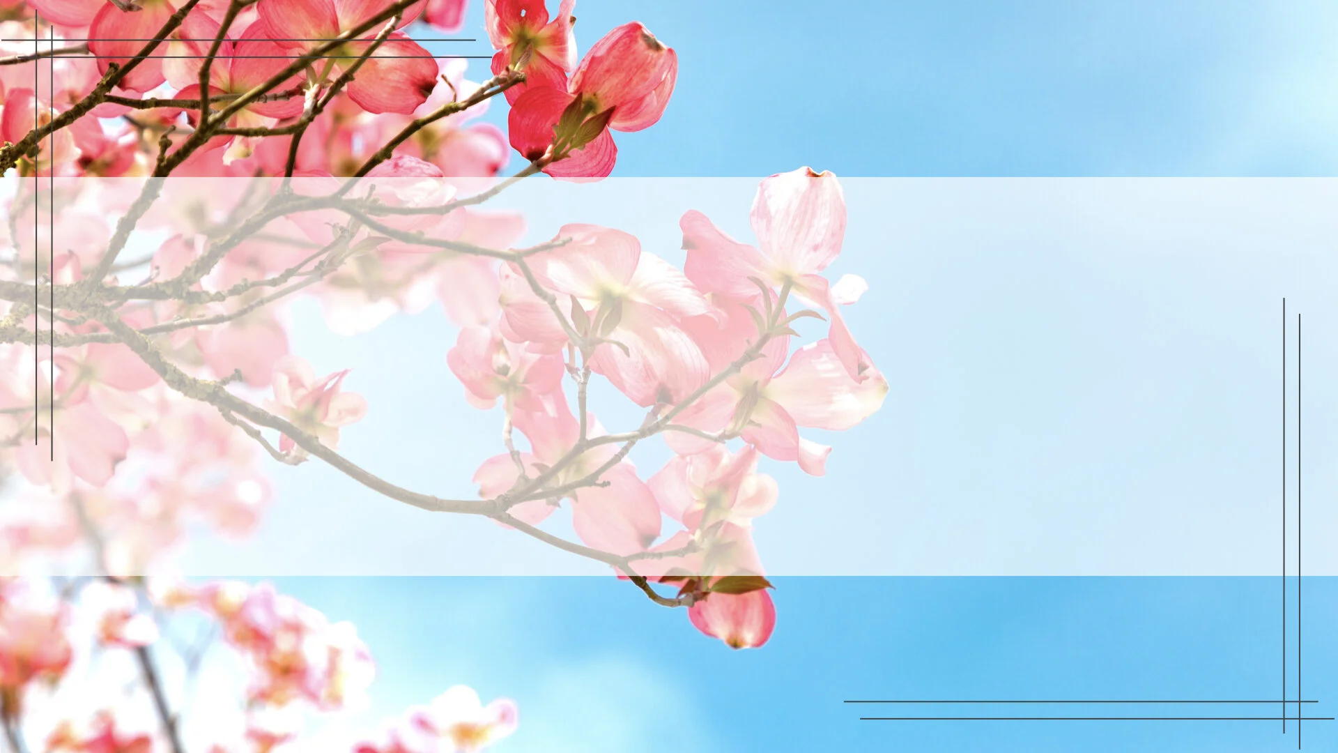 module icons.003.jpeg