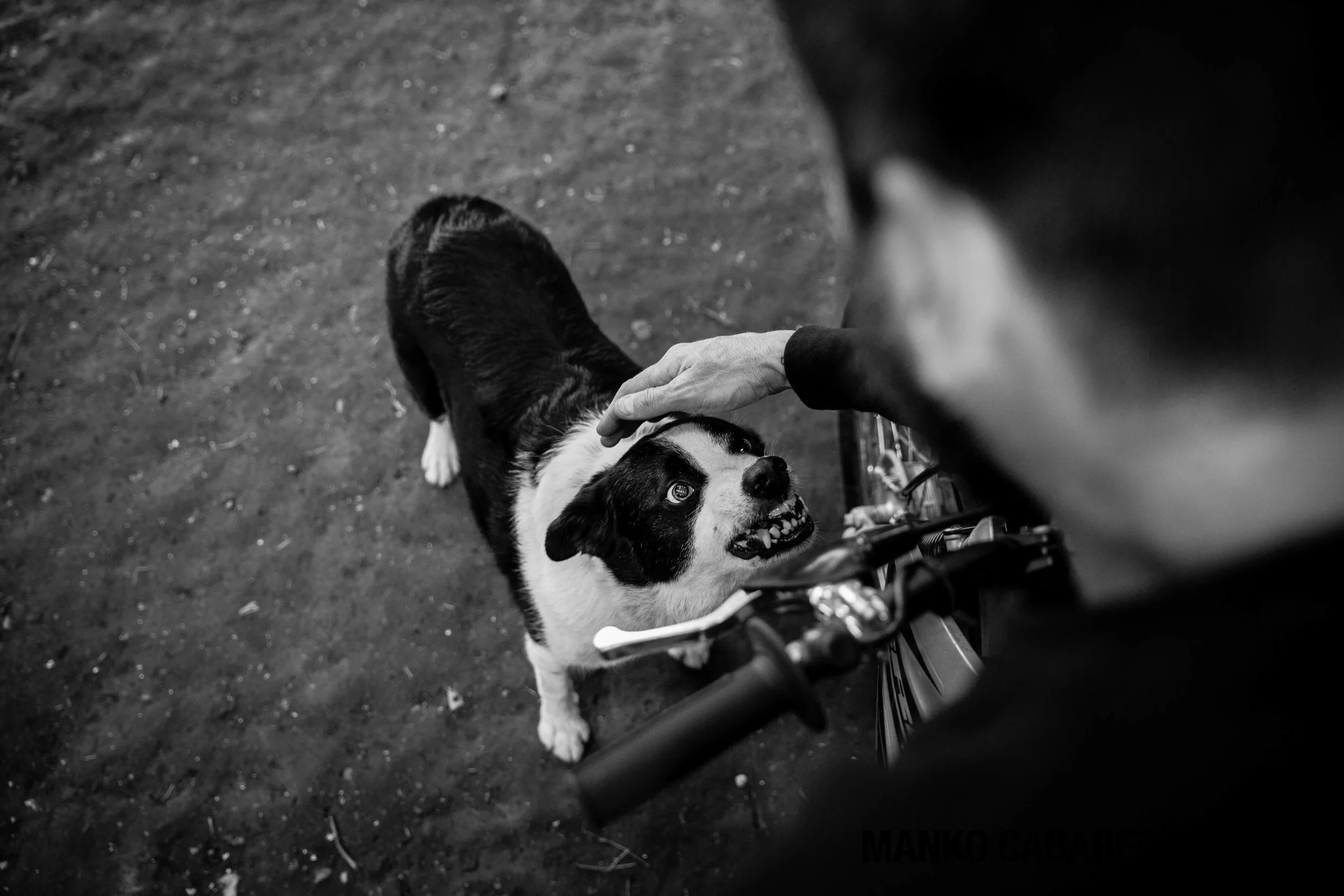 ©MaxwellAurelienJames-31.jpg