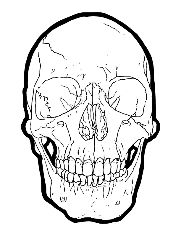 Skull 1