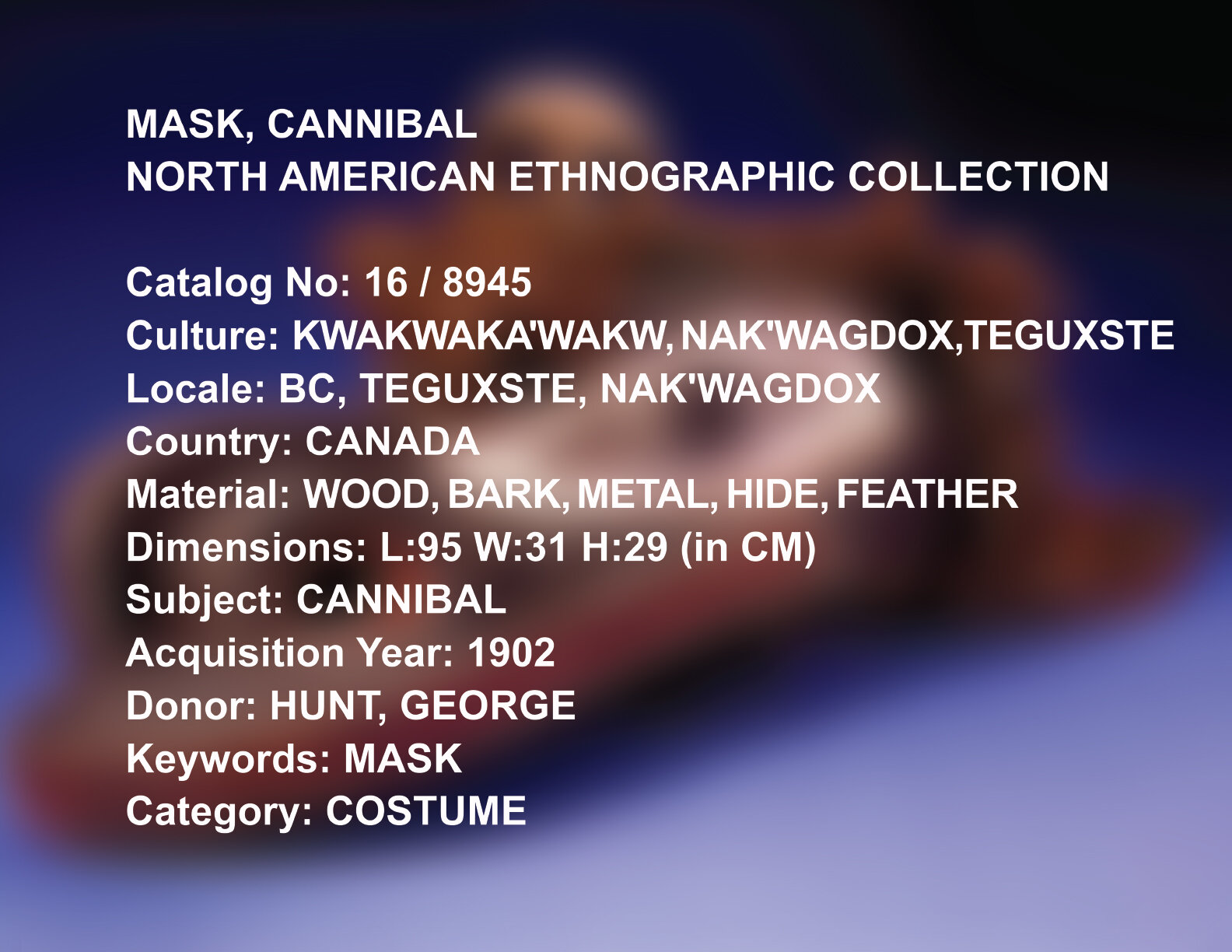 AMNH Collection Catalog No. 16_8945
