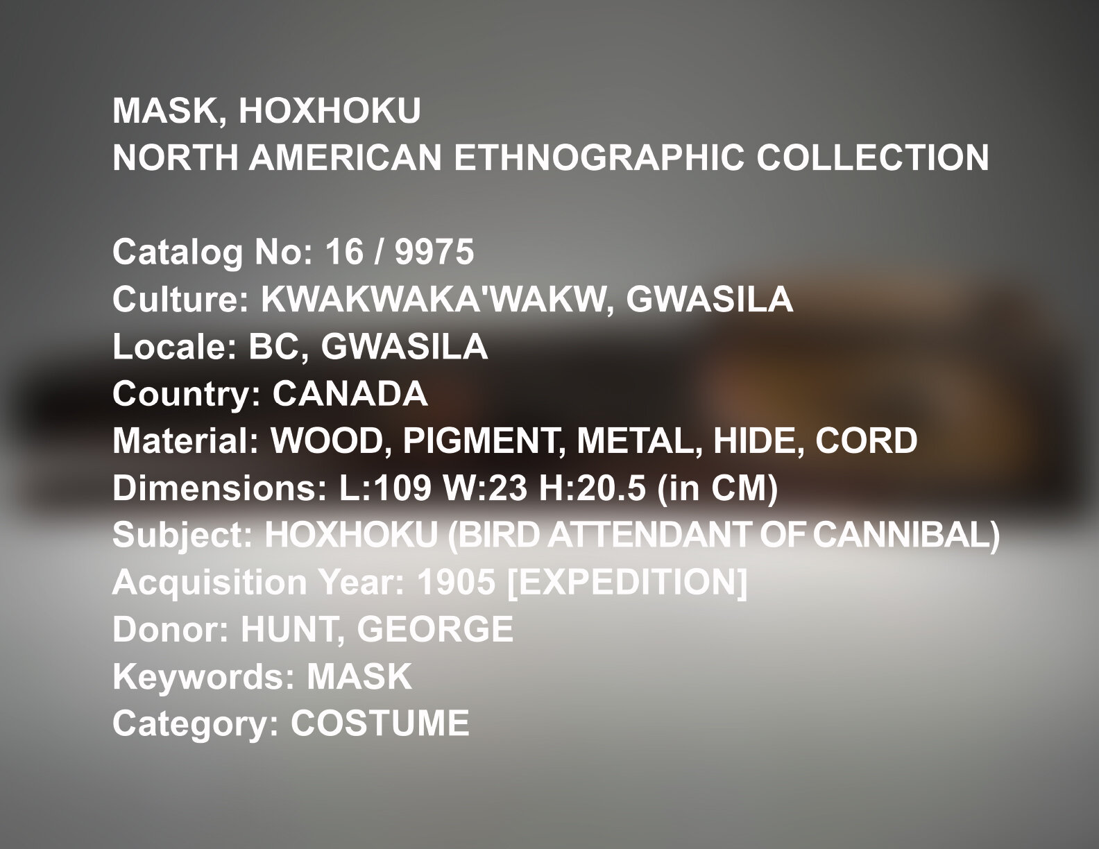 AMNH Collection Catalog No. 16_9975
