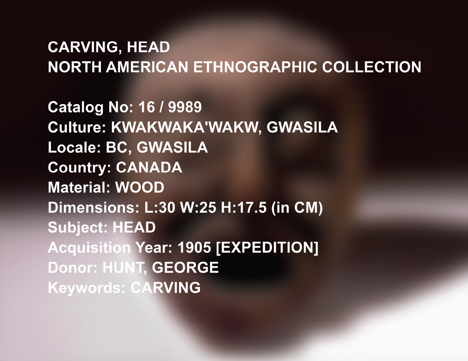 AMNH Collection Catalog No. 16_9989