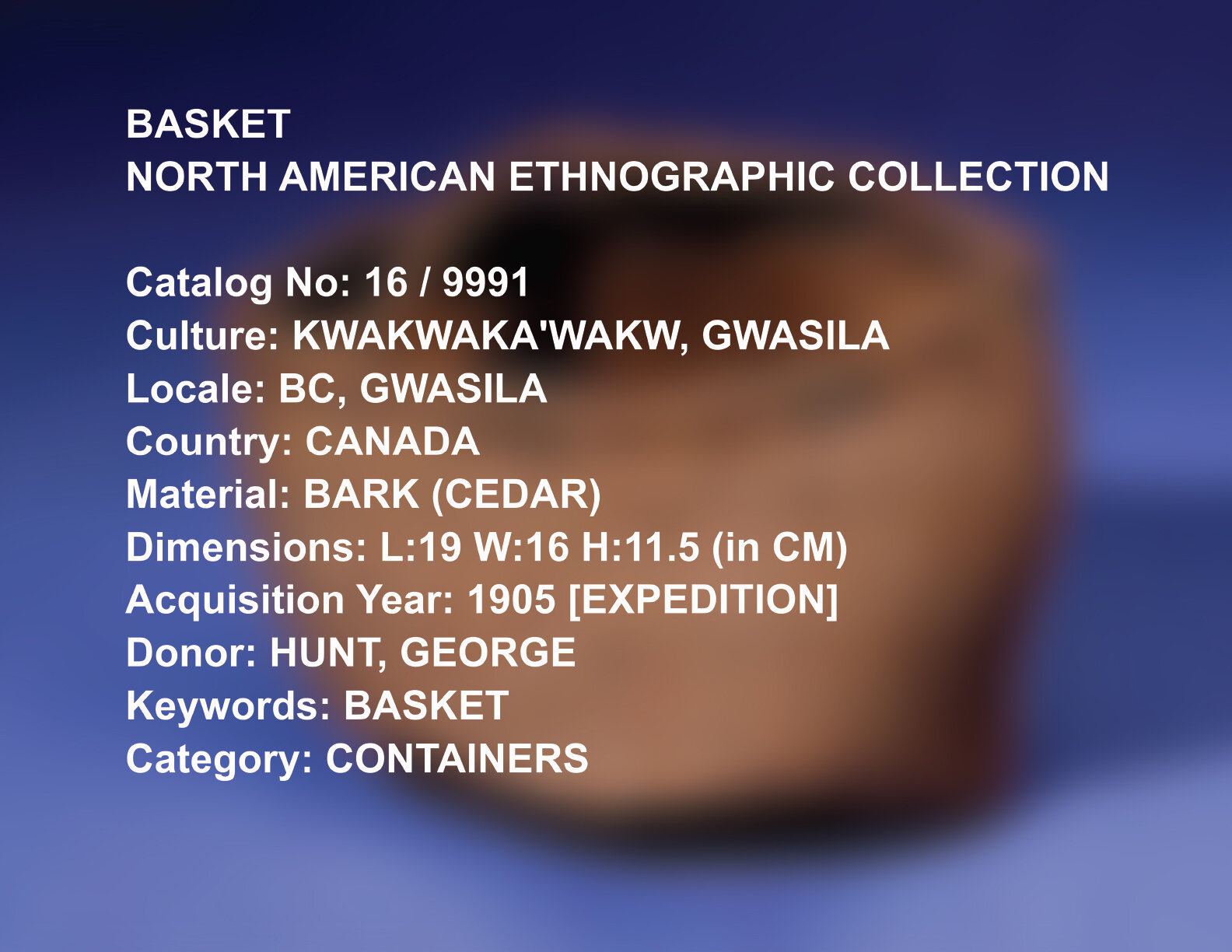 AMNH Collection Catalog No. 16_9991 