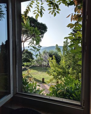 view.jpeg