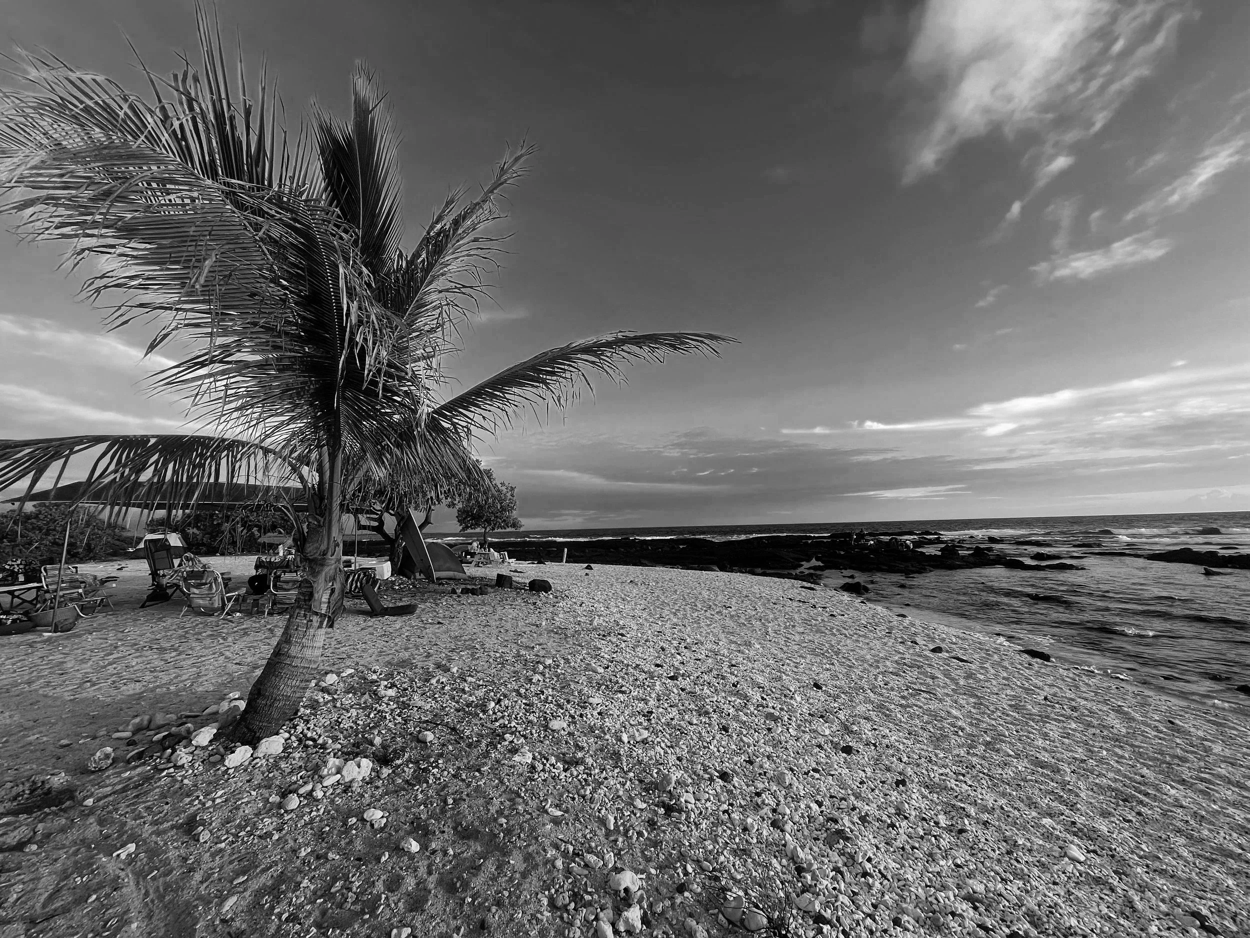 IMG_0636.jpg